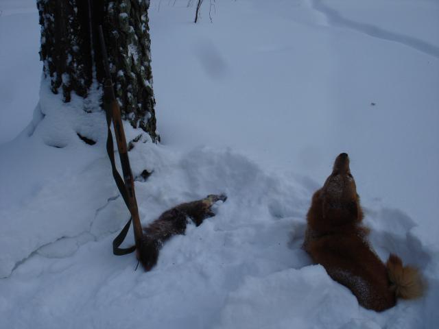 DSC07035.JPG